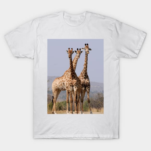 Animaux sauvage T-Shirt by Monument 7